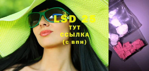 прущие грибы Горняк