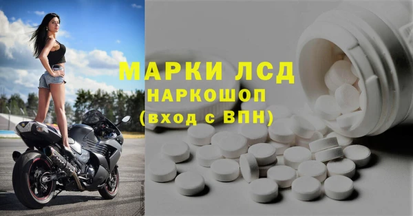 прущие грибы Горняк