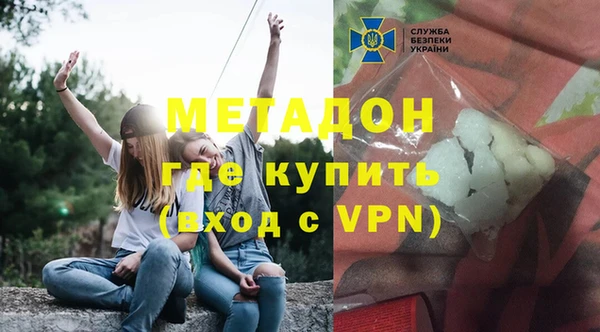 прущие грибы Горняк