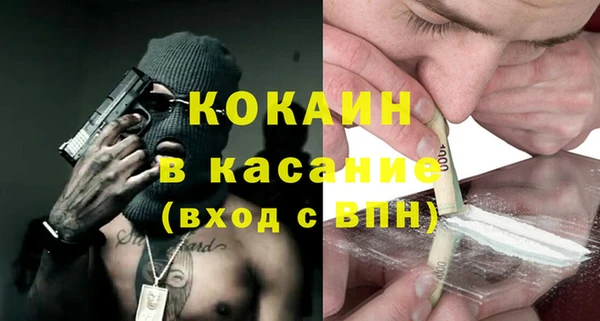 прущие грибы Горняк