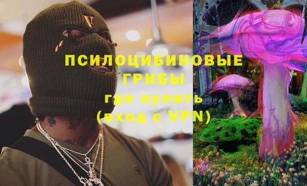 прущие грибы Горняк