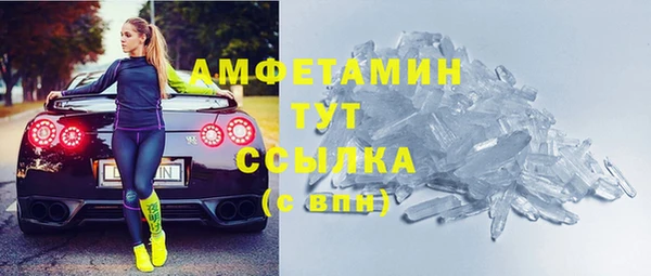 прущие грибы Горняк