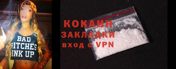 прущие грибы Горняк