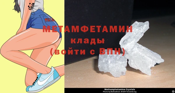 прущие грибы Горняк