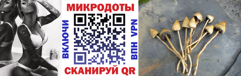 купить наркотики цена  Мантурово  Галлюциногенные грибы Magic Shrooms 